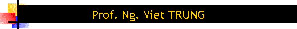 Prof. Ng. Viet TRUNG